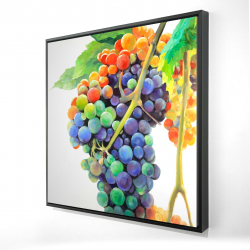 Colorful bunch of grapes