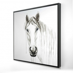 Solitary white horse