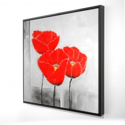 Three poppies