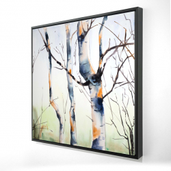 Three small birch trees