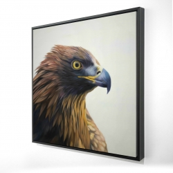 Brown-headed eagle