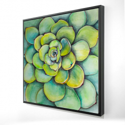 Succulent à l'aquarelle