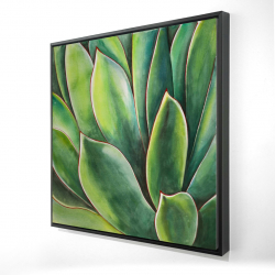 Plante d'agave à l'aquarelle