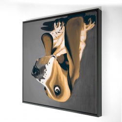 Gold basset hound dog