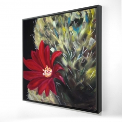 Echinopsis red cactus flower
