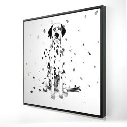 Chien dalmatien