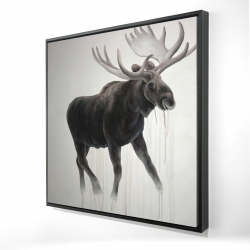 Walking moose 