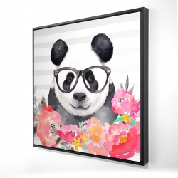 Panda à lunette