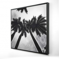 Monochrome palm trees