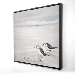 Deux oiseaux bécasseau
