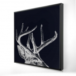 Blue roe deer plume