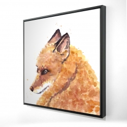 Renard