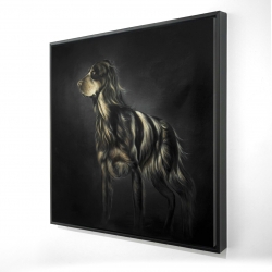 Picard spaniel