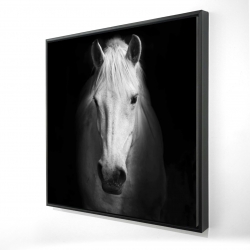 Monochrome horse
