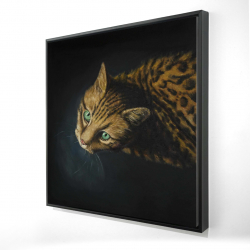 Bengal cat