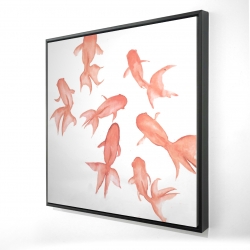 Petits poissons noirs