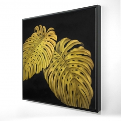 Gold monstera