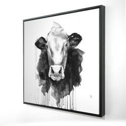Vache