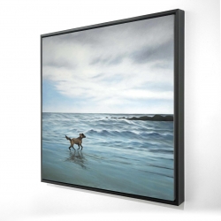 Dog on the beach