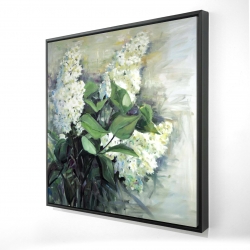 Lilas blanc