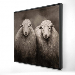 Moutons sépia