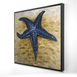 étoile de mer bleu