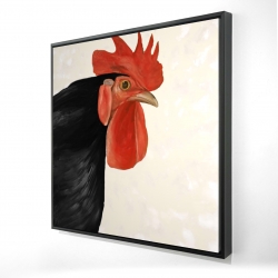 Poule noire