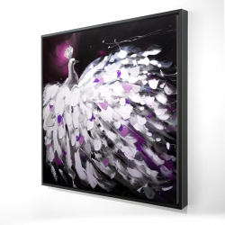 Paon violet