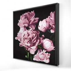 Pivoines roses