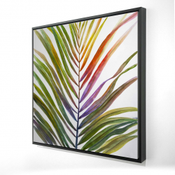 Feuille de palmier tropical
