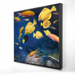 Fish under the sea