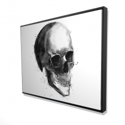 Crâne noir et blanc
