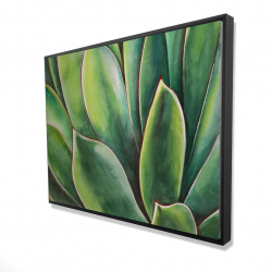 Plante d'agave à l'aquarelle