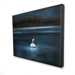 Magnifique cygne
