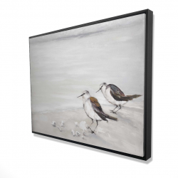 Deux oiseaux bécasseau