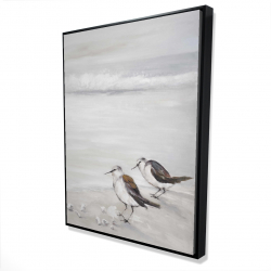 Deux oiseaux bécasseau