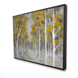 Yellow birch forest