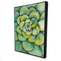 Succulent à l'aquarelle