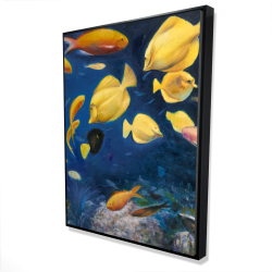 Fish under the sea