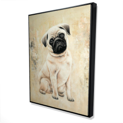Small pug dog