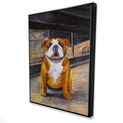 Bouledogue souriant
