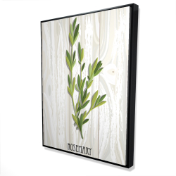 Romarin sur bois
