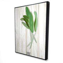 Sage on wood