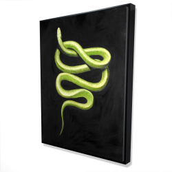 Green snake