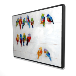 Oiseaux colorés sur des fils