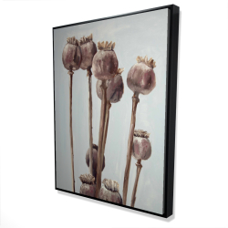 Plantes à tête de pavot sépia