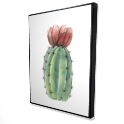 Ensemble de mini cactus