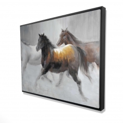Troupeau de chevaux sauvages