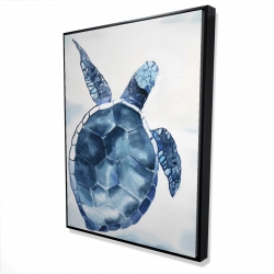 Tortue bleu