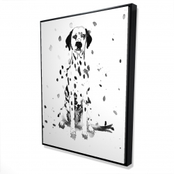 Chien dalmatien